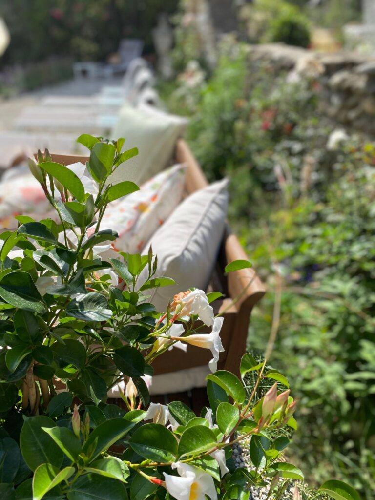 summer garden